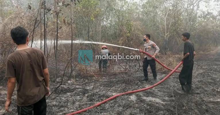Update Karhutla Sejak Januari Hingga Oktober 2026, Tertinggi Kabupaten Majene